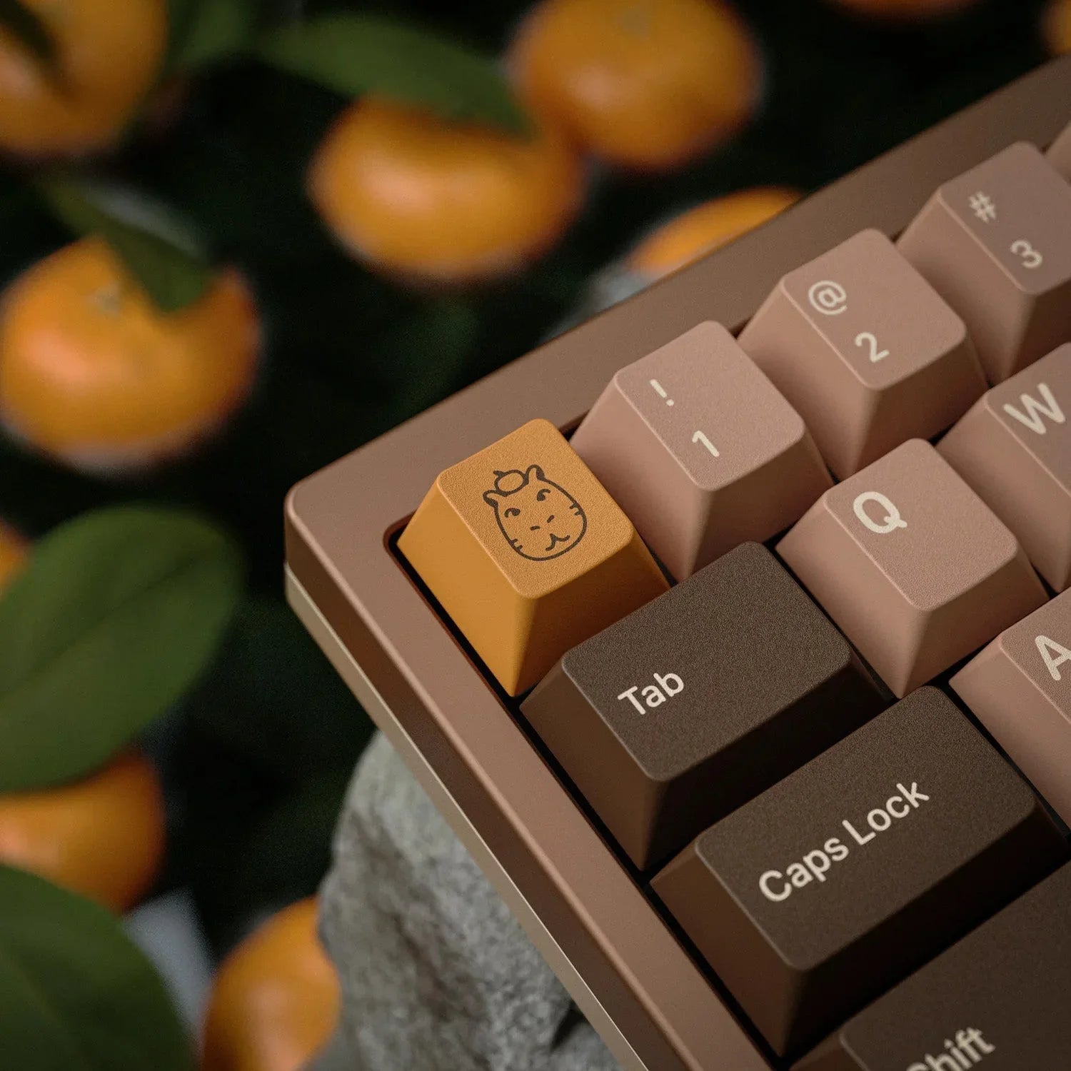 KAP Capy by bowl - KeyBay Tech